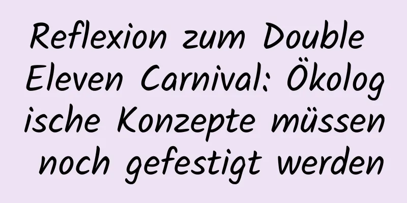 Reflexion zum Double Eleven Carnival: Ökologische Konzepte müssen noch gefestigt werden