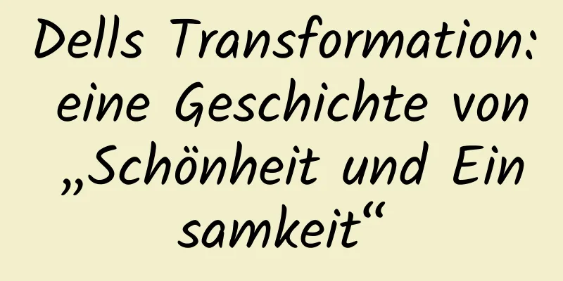 Dells Transformation: eine Geschichte von „Schönheit und Einsamkeit“