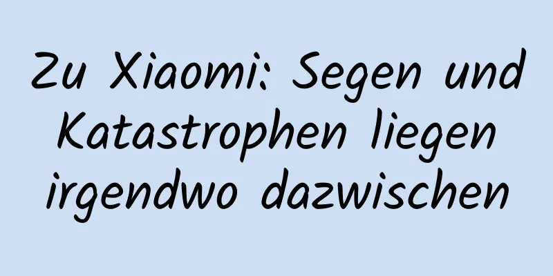 Zu Xiaomi: Segen und Katastrophen liegen irgendwo dazwischen
