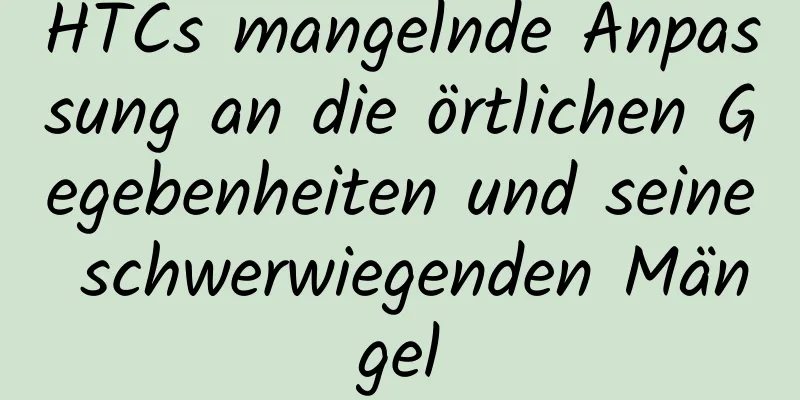 HTCs mangelnde Anpassung an die örtlichen Gegebenheiten und seine schwerwiegenden Mängel