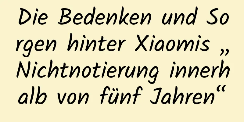 Die Bedenken und Sorgen hinter Xiaomis „Nichtnotierung innerhalb von fünf Jahren“