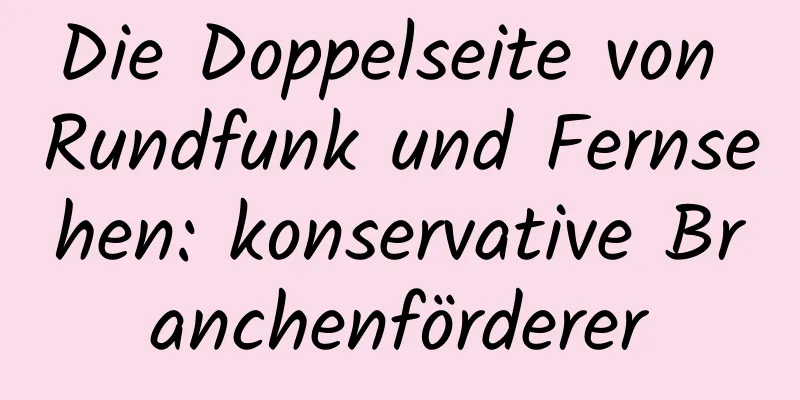 Die Doppelseite von Rundfunk und Fernsehen: konservative Branchenförderer