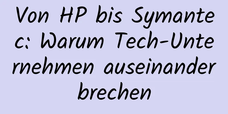 Von HP bis Symantec: Warum Tech-Unternehmen auseinanderbrechen