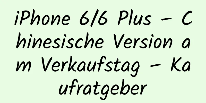 iPhone 6/6 Plus – Chinesische Version am Verkaufstag – Kaufratgeber