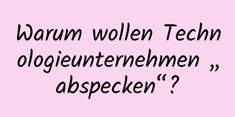 Warum wollen Technologieunternehmen „abspecken“?