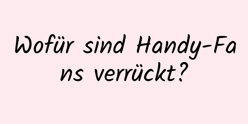 Wofür sind Handy-Fans verrückt?
