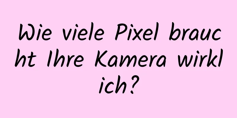 Wie viele Pixel braucht Ihre Kamera wirklich?