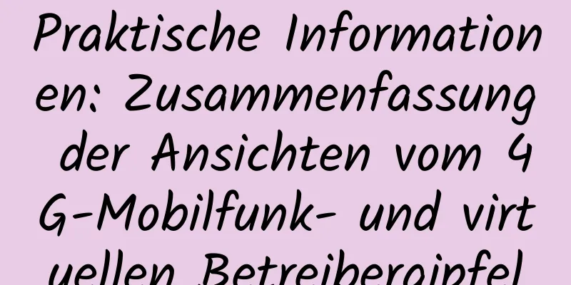 Praktische Informationen: Zusammenfassung der Ansichten vom 4G-Mobilfunk- und virtuellen Betreibergipfel