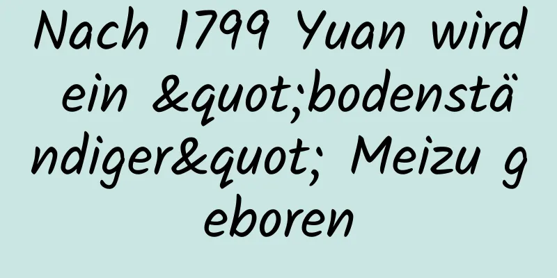 Nach 1799 Yuan wird ein "bodenständiger" Meizu geboren