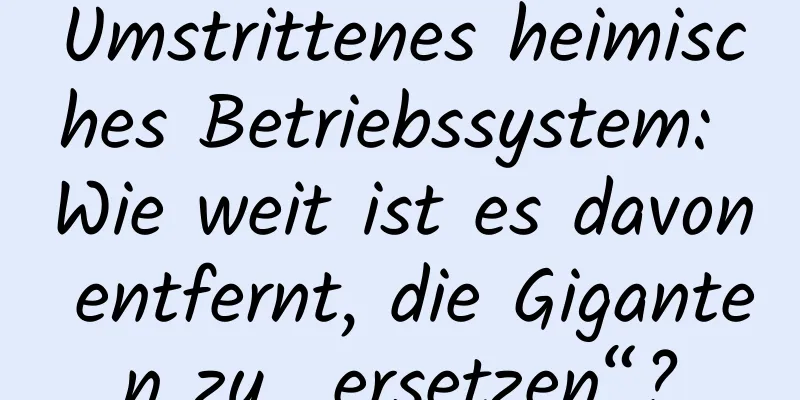 Umstrittenes heimisches Betriebssystem: Wie weit ist es davon entfernt, die Giganten zu „ersetzen“?