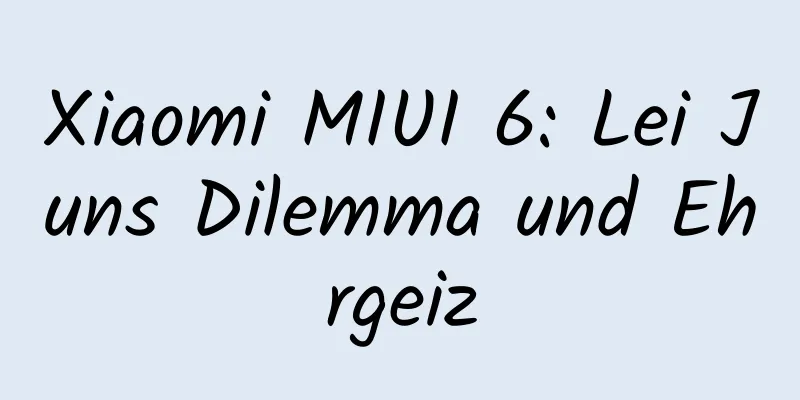 Xiaomi MIUI 6: Lei Juns Dilemma und Ehrgeiz