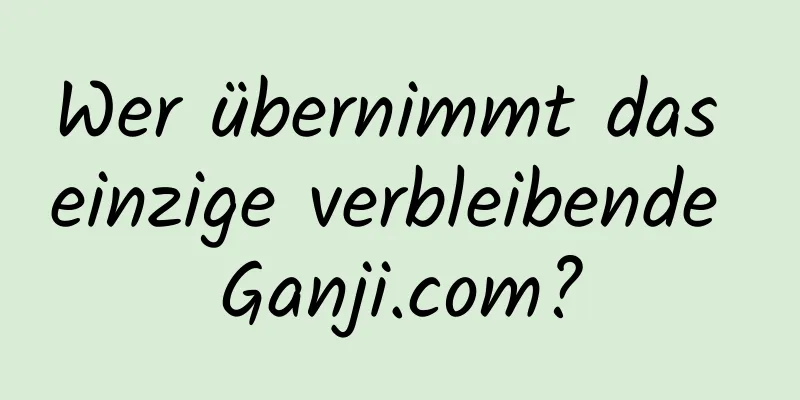 Wer übernimmt das einzige verbleibende Ganji.com?