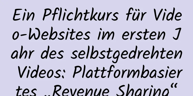 Ein Pflichtkurs für Video-Websites im ersten Jahr des selbstgedrehten Videos: Plattformbasiertes „Revenue Sharing“
