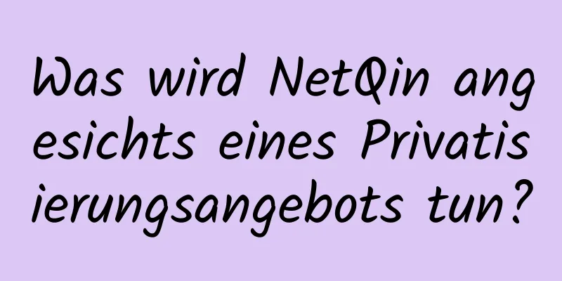 Was wird NetQin angesichts eines Privatisierungsangebots tun?