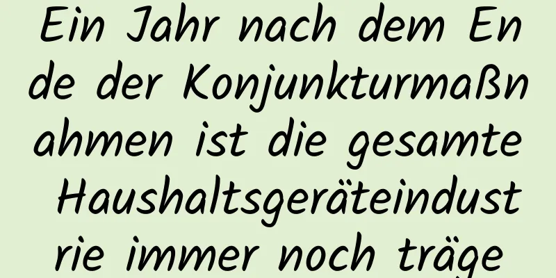 Ein Jahr nach dem Ende der Konjunkturmaßnahmen ist die gesamte Haushaltsgeräteindustrie immer noch träge