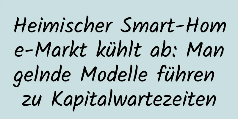 Heimischer Smart-Home-Markt kühlt ab: Mangelnde Modelle führen zu Kapitalwartezeiten