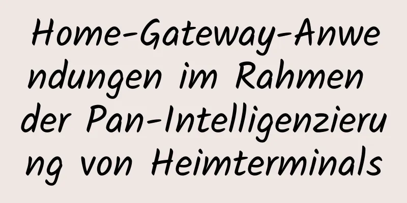 Home-Gateway-Anwendungen im Rahmen der Pan-Intelligenzierung von Heimterminals