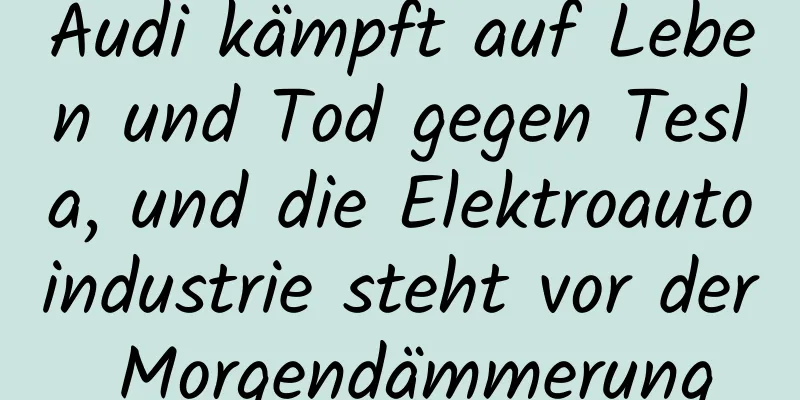 Audi kämpft auf Leben und Tod gegen Tesla, und die Elektroautoindustrie steht vor der Morgendämmerung