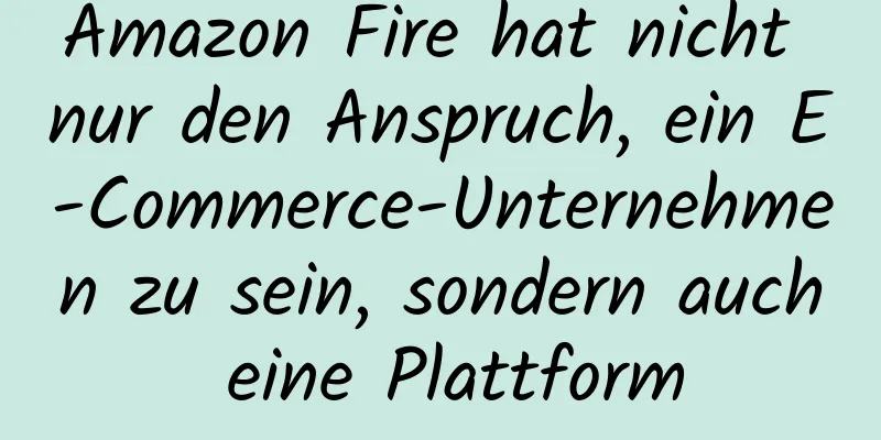 Amazon Fire hat nicht nur den Anspruch, ein E-Commerce-Unternehmen zu sein, sondern auch eine Plattform