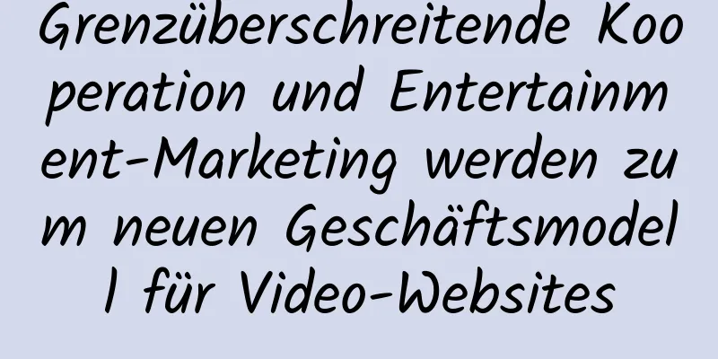 Grenzüberschreitende Kooperation und Entertainment-Marketing werden zum neuen Geschäftsmodell für Video-Websites