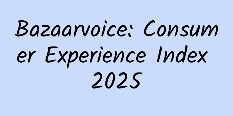 Bazaarvoice: Consumer Experience Index 2025