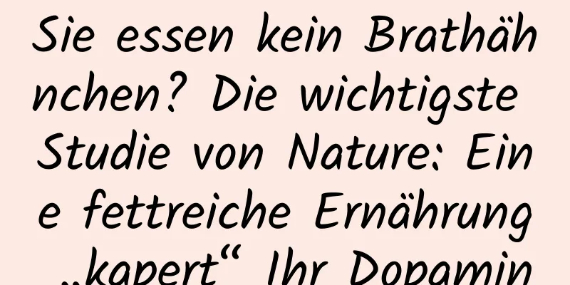 Sie essen kein Brathähnchen? Die wichtigste Studie von Nature: Eine fettreiche Ernährung „kapert“ Ihr Dopamin