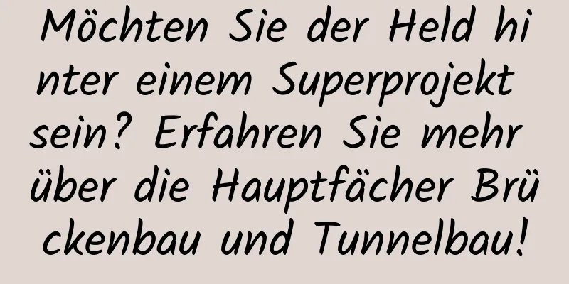Möchten Sie der Held hinter einem Superprojekt sein? Erfahren Sie mehr über die Hauptfächer Brückenbau und Tunnelbau!