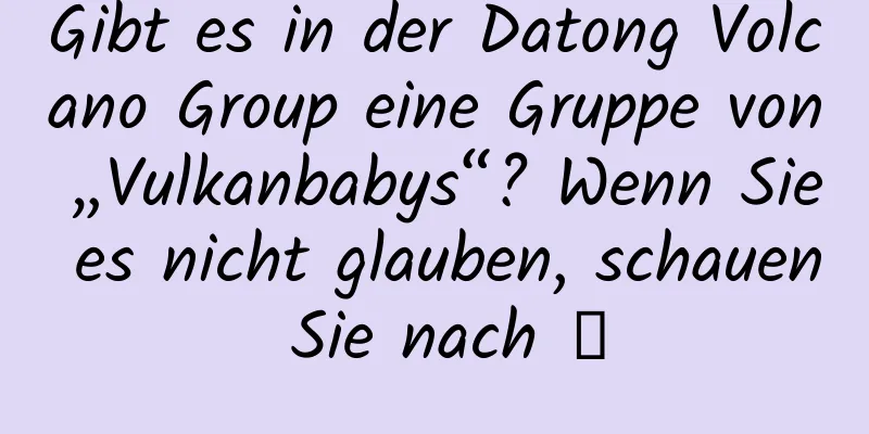Gibt es in der Datong Volcano Group eine Gruppe von „Vulkanbabys“? Wenn Sie es nicht glauben, schauen Sie nach →