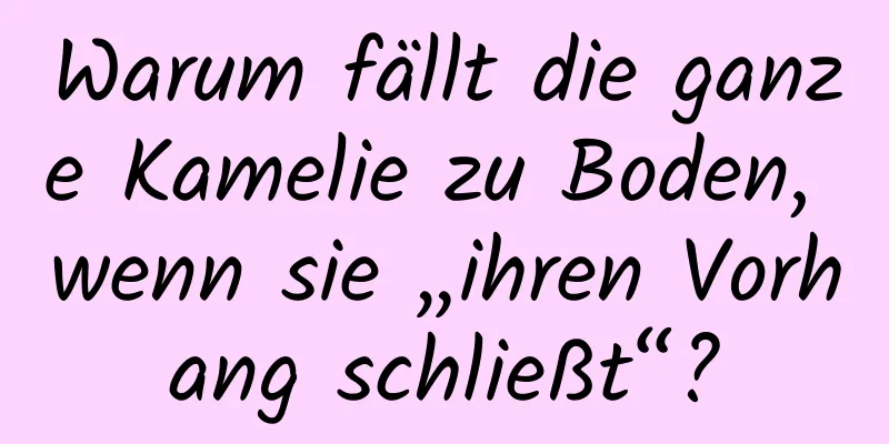 Warum fällt die ganze Kamelie zu Boden, wenn sie „ihren Vorhang schließt“?