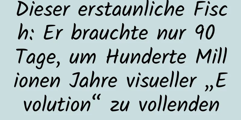 Dieser erstaunliche Fisch: Er brauchte nur 90 Tage, um Hunderte Millionen Jahre visueller „Evolution“ zu vollenden