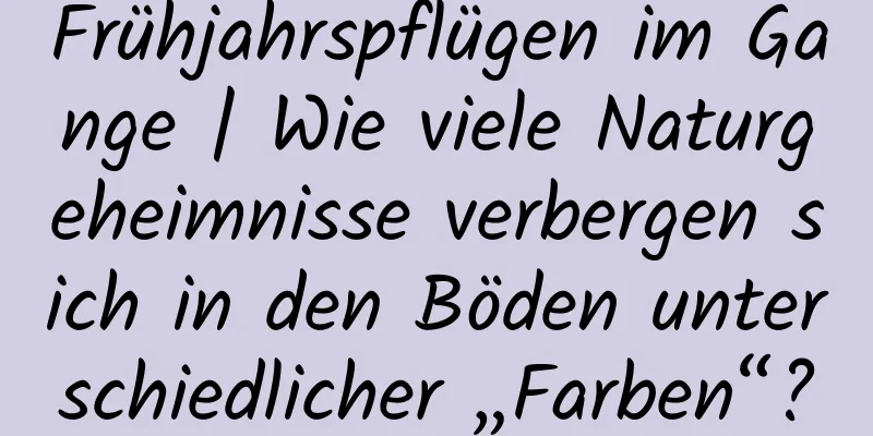 Frühjahrspflügen im Gange | Wie viele Naturgeheimnisse verbergen sich in den Böden unterschiedlicher „Farben“?
