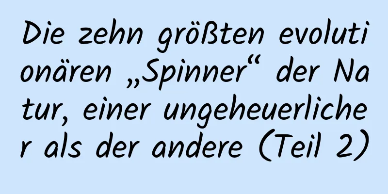 Die zehn größten evolutionären „Spinner“ der Natur, einer ungeheuerlicher als der andere (Teil 2)