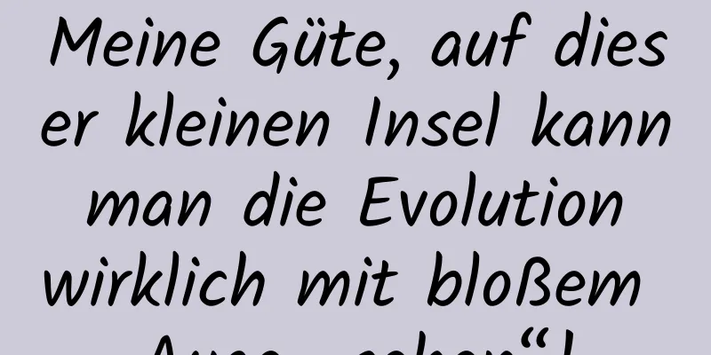 Meine Güte, auf dieser kleinen Insel kann man die Evolution wirklich mit bloßem Auge „sehen“!