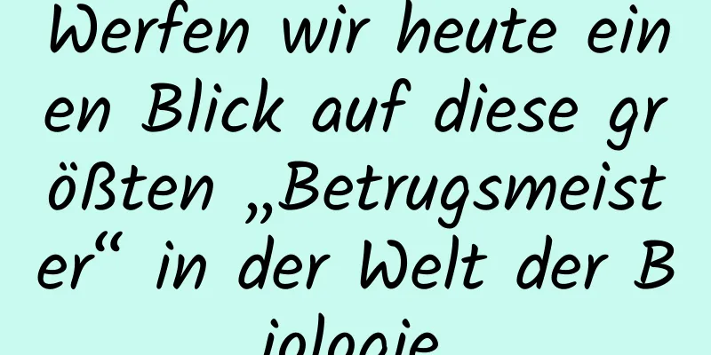 Werfen wir heute einen Blick auf diese größten „Betrugsmeister“ in der Welt der Biologie.