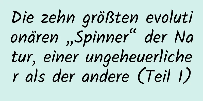 Die zehn größten evolutionären „Spinner“ der Natur, einer ungeheuerlicher als der andere (Teil 1)