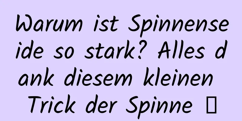 Warum ist Spinnenseide so stark? Alles dank diesem kleinen Trick der Spinne →