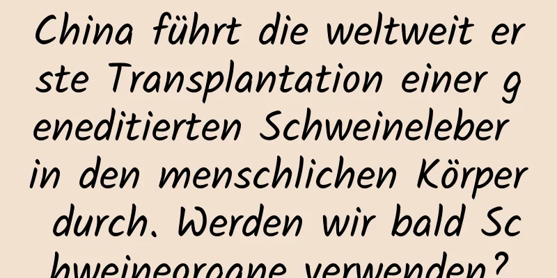 China führt die weltweit erste Transplantation einer geneditierten Schweineleber in den menschlichen Körper durch. Werden wir bald Schweineorgane verwenden?