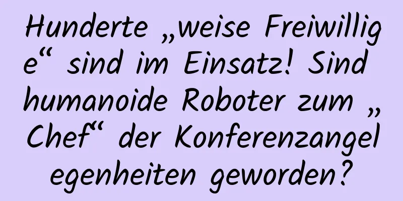 Hunderte „weise Freiwillige“ sind im Einsatz! Sind humanoide Roboter zum „Chef“ der Konferenzangelegenheiten geworden?