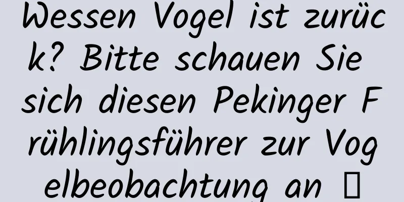 Wessen Vogel ist zurück? Bitte schauen Sie sich diesen Pekinger Frühlingsführer zur Vogelbeobachtung an →