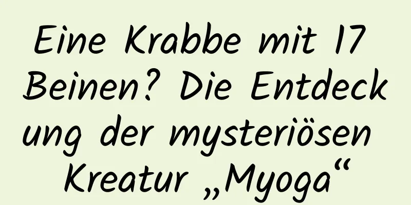 Eine Krabbe mit 17 Beinen? Die Entdeckung der mysteriösen Kreatur „Myoga“