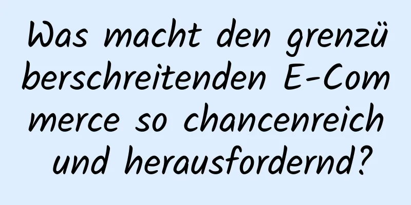 Was macht den grenzüberschreitenden E-Commerce so chancenreich und herausfordernd?