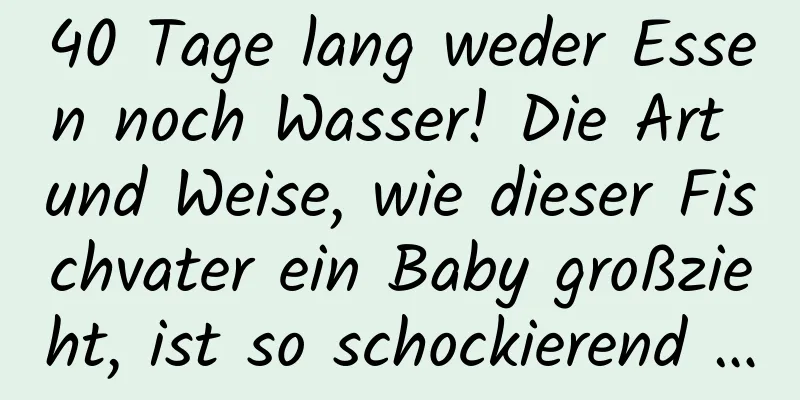 40 Tage lang weder Essen noch Wasser! Die Art und Weise, wie dieser Fischvater ein Baby großzieht, ist so schockierend …