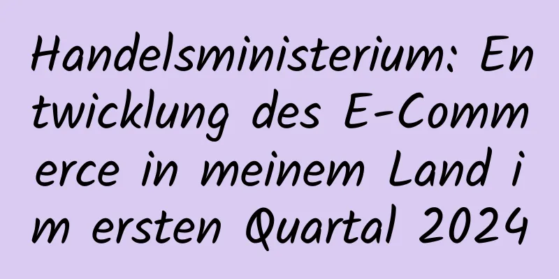 Handelsministerium: Entwicklung des E-Commerce in meinem Land im ersten Quartal 2024