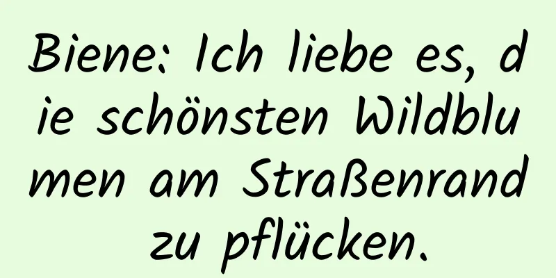 Biene: Ich liebe es, die schönsten Wildblumen am Straßenrand zu pflücken.