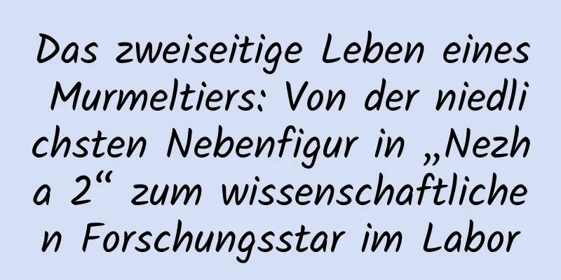Das zweiseitige Leben eines Murmeltiers: Von der niedlichsten Nebenfigur in „Nezha 2“ zum wissenschaftlichen Forschungsstar im Labor