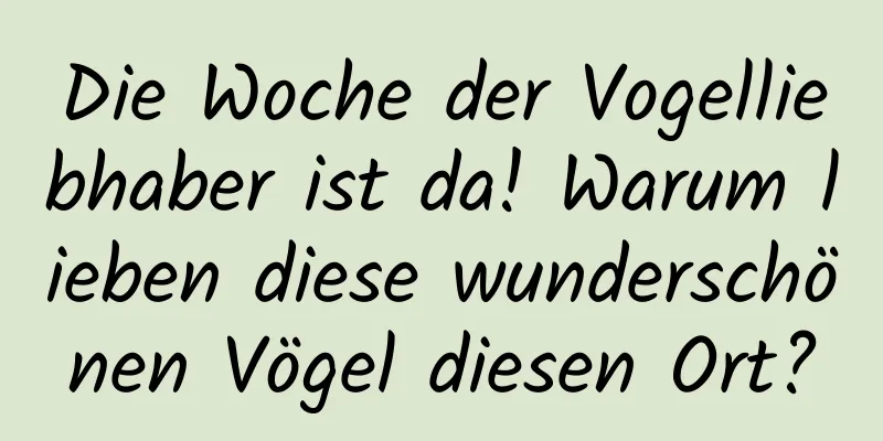 Die Woche der Vogelliebhaber ist da! Warum lieben diese wunderschönen Vögel diesen Ort?
