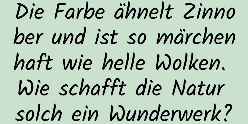 Die Farbe ähnelt Zinnober und ist so märchenhaft wie helle Wolken. Wie schafft die Natur solch ein Wunderwerk?