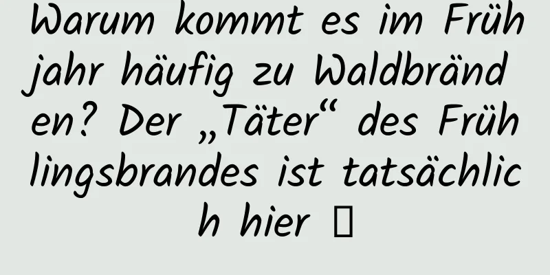 Warum kommt es im Frühjahr häufig zu Waldbränden? Der „Täter“ des Frühlingsbrandes ist tatsächlich hier →