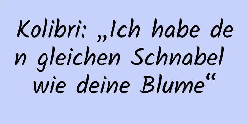 Kolibri: „Ich habe den gleichen Schnabel wie deine Blume“