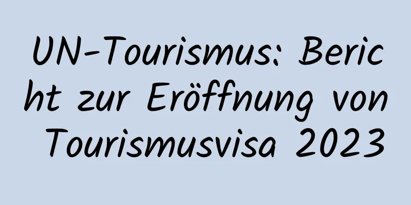UN-Tourismus: Bericht zur Eröffnung von Tourismusvisa 2023